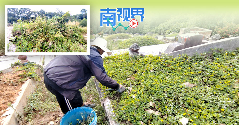 【南视界】除草·修复·美化 打理义山百无禁忌